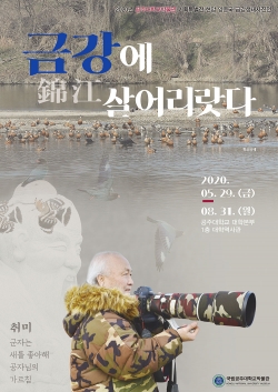 금강에살어리랏다