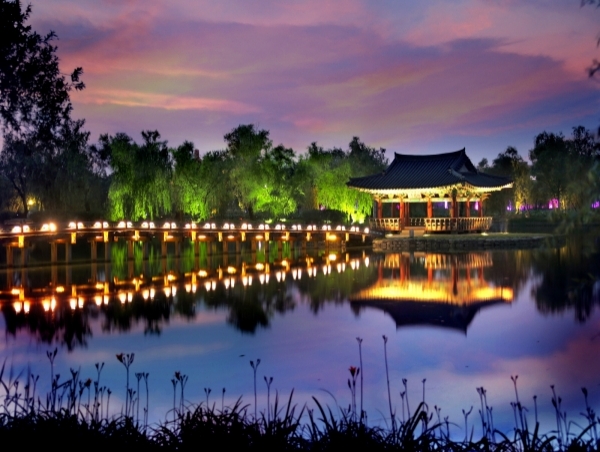 지난해 서동연꽃축제 야간 경관 전경