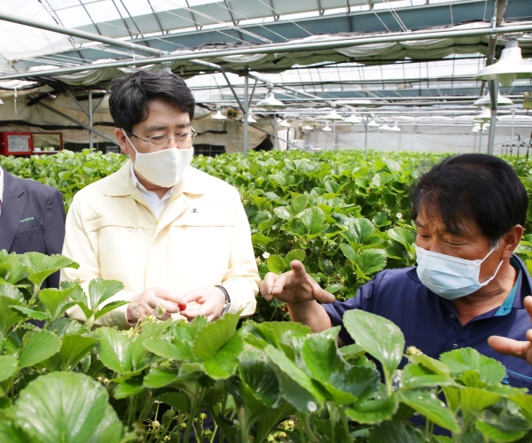 맹정호 서산시장이 성연면 고남리 시설채소 무인방제 시스템 시범사업 현장을 방문해 시범 사업 추진 상황을 점검하고 농가의 애로사항을 듣고 있다.