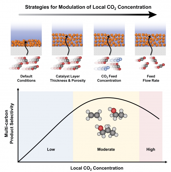 촉매 층의 구조, 이산화탄소 공급 농도, 이산화탄소 공급 유량에 따른 촉매 층 내부 이산화탄소 농도 제어 방법을 나타내는 모식도 및 촉매 층 내부 이산화탄소 농도와 다탄소화합물의 선택도 간 관계 그래프