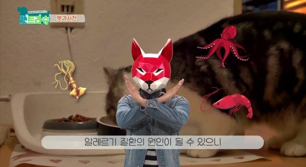 영상편집동아리 K.E의 ‘펫과사전’ 방송분 장면, ※출처 : 대전TJB의 ‘펫트라슈’