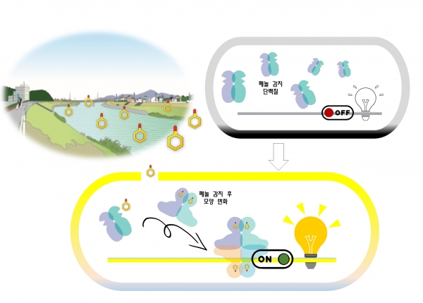 DmpR의 활성 메커니즘