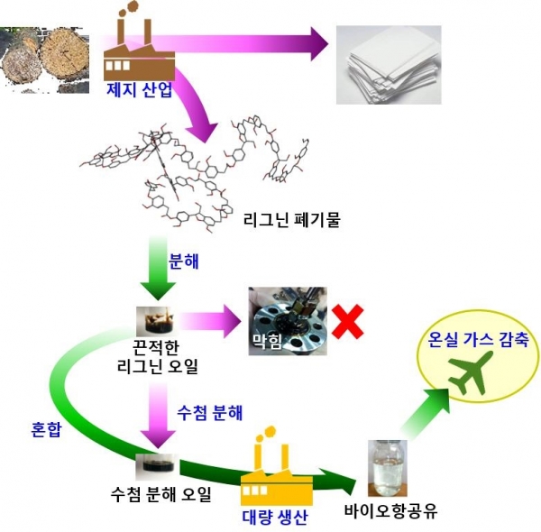 KIST가 개발한 바이오항공유가 생산되는 과정