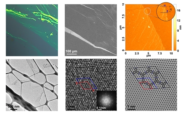 2차원 전도성 고분자를 다양한 현미경으로 관찰한 이미지
