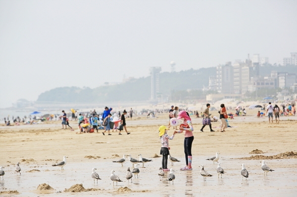 대천해수욕장 27일 오후 모습