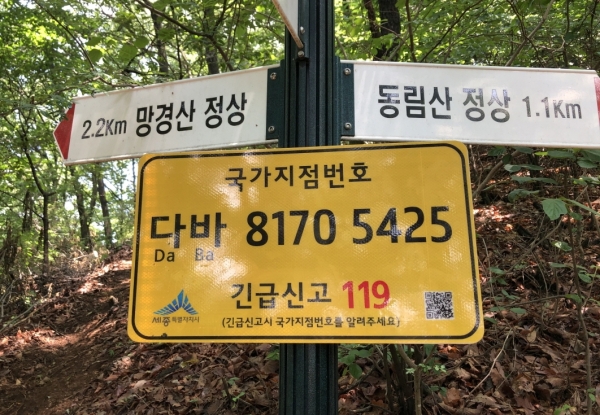 세종시 국가지점번호판