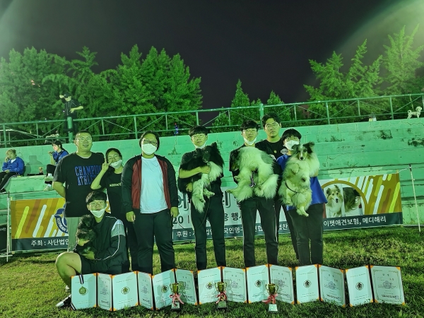 지난달 20일 서울 육영재단 어린이회관 서편운동장에서 2020 KKC 어질리티 챔피언십 (Agility Championship) 대회 개최