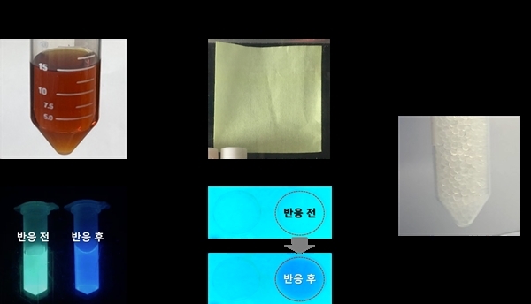 가스절연개폐장치 색변환 점검 기술 지시약