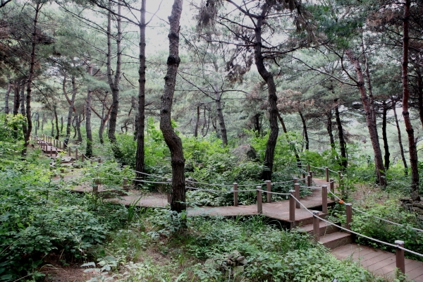 태학산자연휴양림