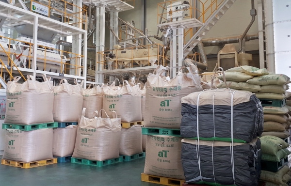 군대 납품용 정부수매 국산콩 창고 보관사진