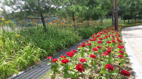 논산시민공원 가로화단 조성 모습