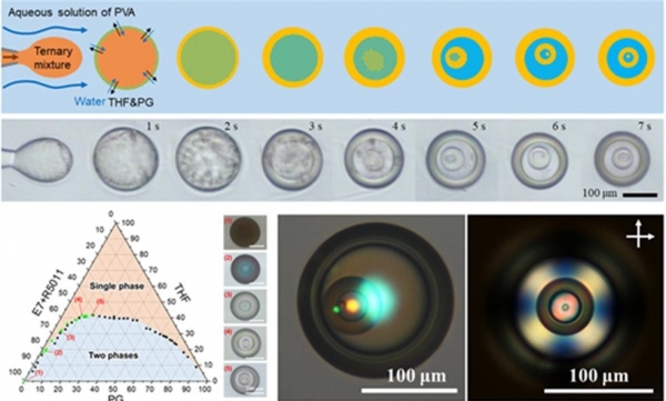 상 분리를 과정을 통해 형성된 여러 층을 갖는 액정입자