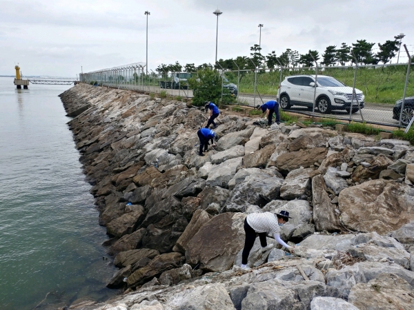 평택해수청 연안정화의 날 행사에 동참 모습