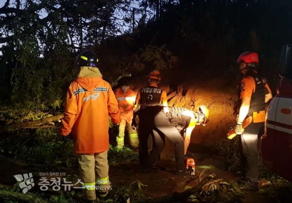 강풍으로 쓰러진 나무를 처리하는 서산소방서 대원들