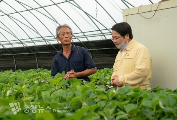 오세현 아산시장이 주택침수 및 비닐하우스 피해가 발생한 염치읍을 찾아 주민을 위로하고 있다