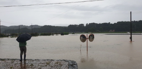 금산 부리면 평촌 상황