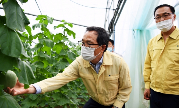 침수 피해 멜론 농가 현장 방문 사진2            * aT 이병호 사장(좌측)