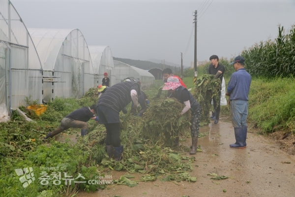 수해복구 봉사활동