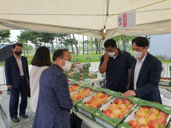 ‘세종조치원복숭아 특별 홍보·판촉 행사’에 참가 모습