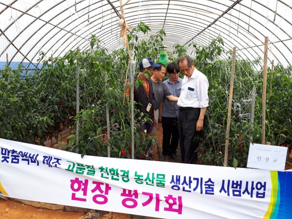 시범사업 현장 점검 장면