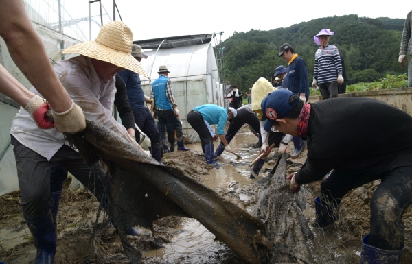 금산 호우피해 농가 지원  모습