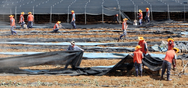 금산지역 수해복구 봉사활동 진행 모습
