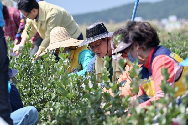 김정섭 시장 미르섬 수해복구 봉사활동 모습