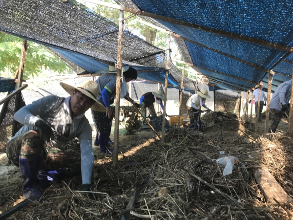 지난 19일 집중호우로 피해를 입은 지역 주민을 돕기 위해 긴급 지원활동 실시