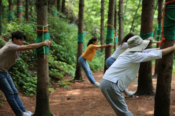 국립산림치유원 숲치유프로그램 진행 모습