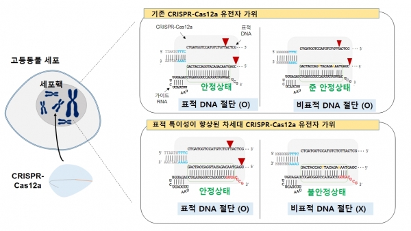기존 크리스퍼 유전자 가위(위)와 연구진이 개발한 유전자 가위(아래).