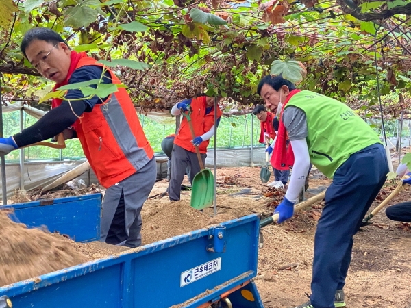 2일 대전시 동구 소호동 관내 포도 재배농가를 찾아 수해복구 및 태풍 피해 예방 일손돕기 실시