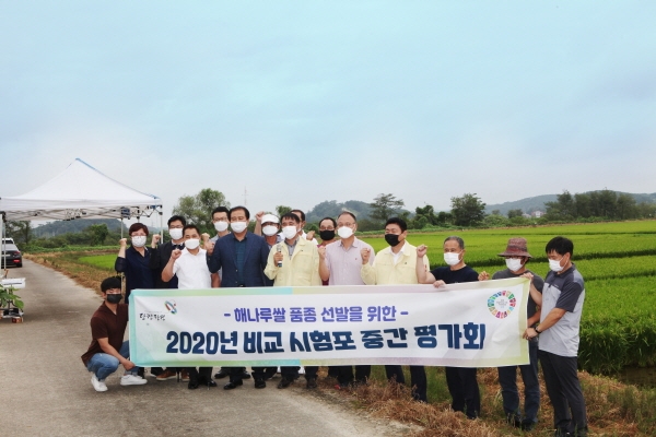 명품 해나루쌀 품종 선발을 위한 현장평가회 개최