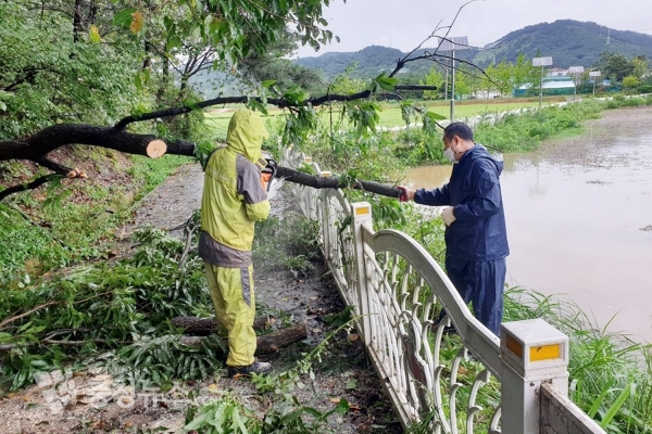 동문1동 온석저수지(수목전도)
