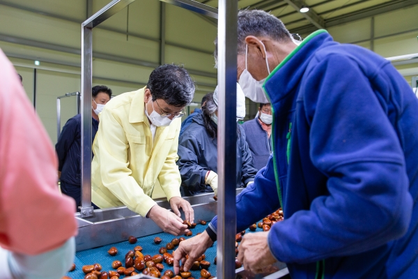 정산농협 등 3개 조합 10월초까지 수매․출하-선별작업 돕는 김돈곤 군수