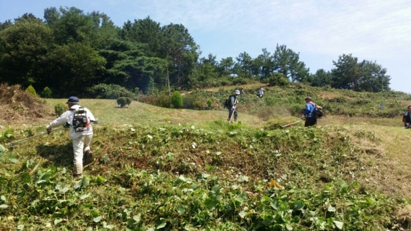 추석 앞두고 공동·공설묘지 환경정비