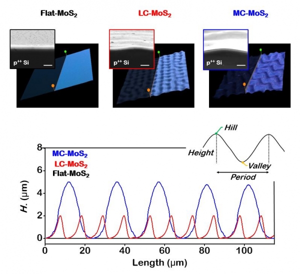 광원 열처리 기반으로 합성된 주름진 이황화 몰리브덴 이미지