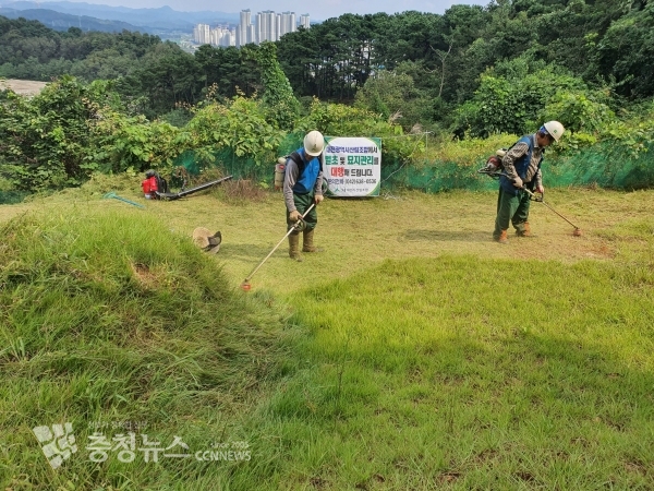 벌초 대행 서비스