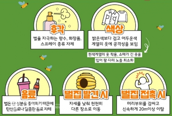 서산소방서가 연중 홍보하는 벌 쏘임 예방법 포스터