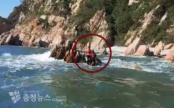 들물에 갯바위 낚시하다 고립된 20대 전모씨에게 해양경찰 구조대원이 접근해 구조활동을 펼치고 있다.  (출처=태안해양경찰서)