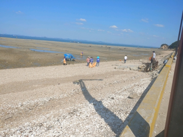 용무치항 일원에서 해양쓰레기를 수거하고 있다.