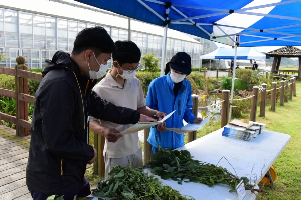 서천군, 벼 품종 비교 전시포 9월 말까지 개방