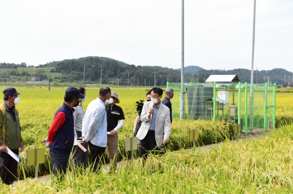 ​서천군, 벼 품종 비교 전시포 9월 말까지 개방​