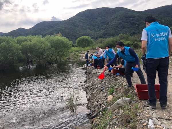 어류 총 40,000미의 치어를 댐 저수지에 방류 모습
