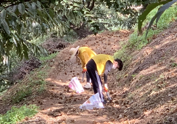 지역 농촌 일손 돕기 봉사활동 펼쳐