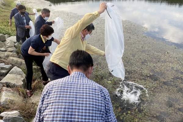 지난 24일 가사저수지에서 토종붕어 방류장면