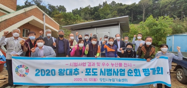 지난 12일 개최한 ‘2020 왕대추·포도 시범사업 순회 평가회’ 사진