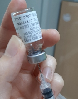 예방접종 관련 사진