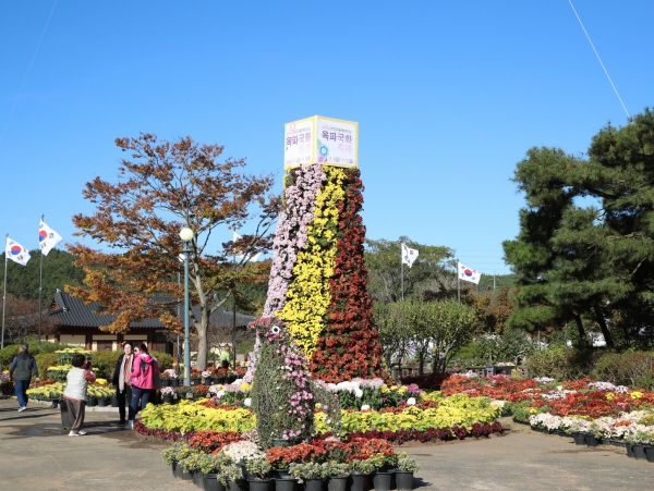 지난해 제7회 옥파 국화 전시회 모습.