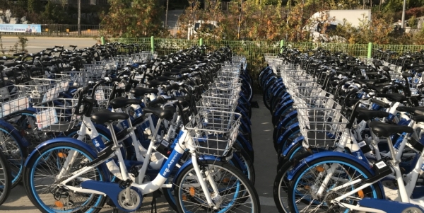 세종시 공영자전거 어울링.