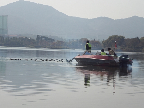 각망어구를 이용한 어류 포획 사진